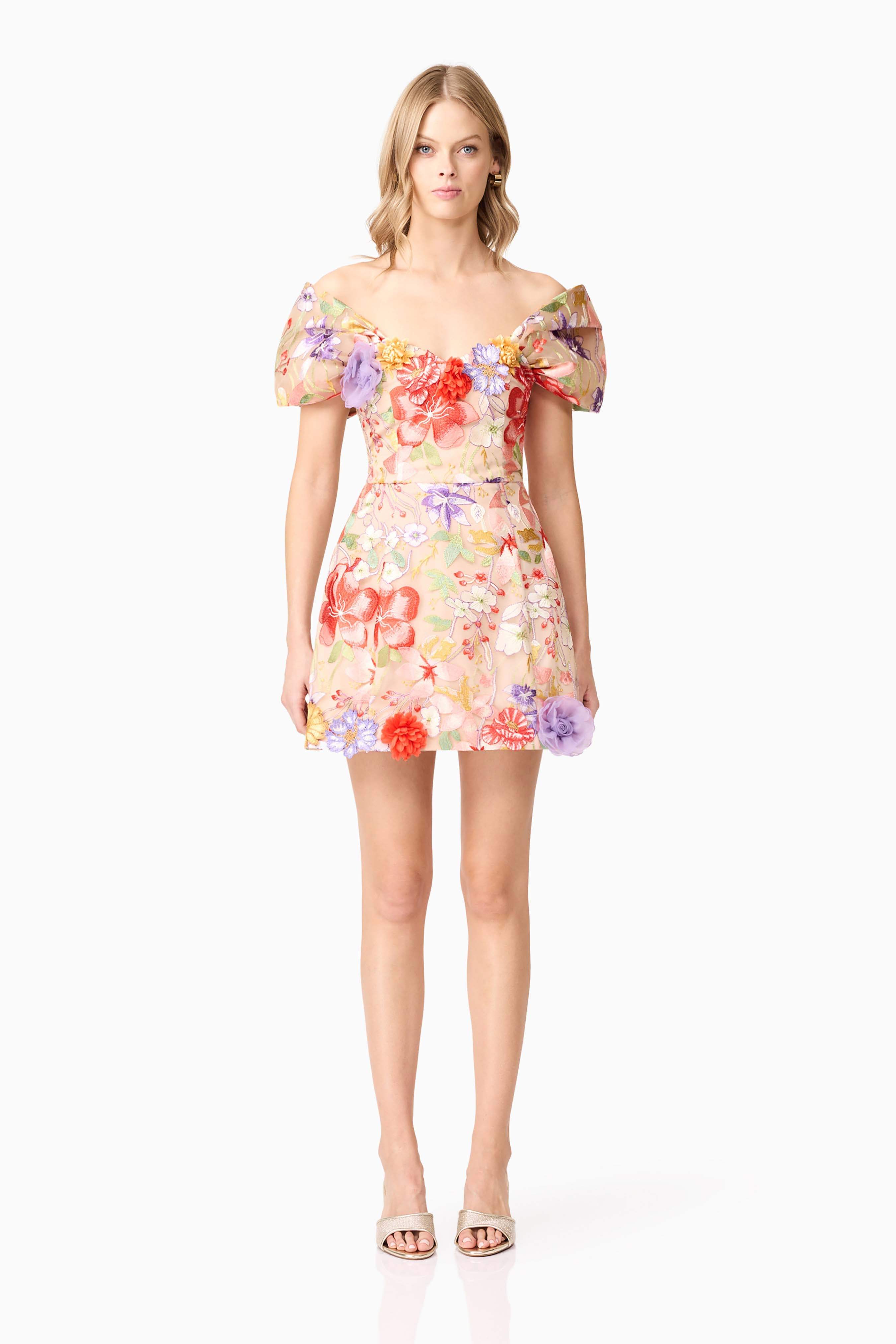 Puff sleeve short sleeve embroidery mini dress