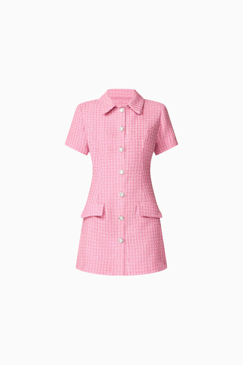 Brunette model wearing Alia Short Sleeve Mini Dress in Pink ghost shot