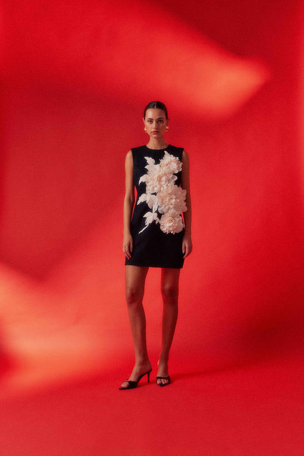 Zahara Shift Mini Dress in Black campaign shot