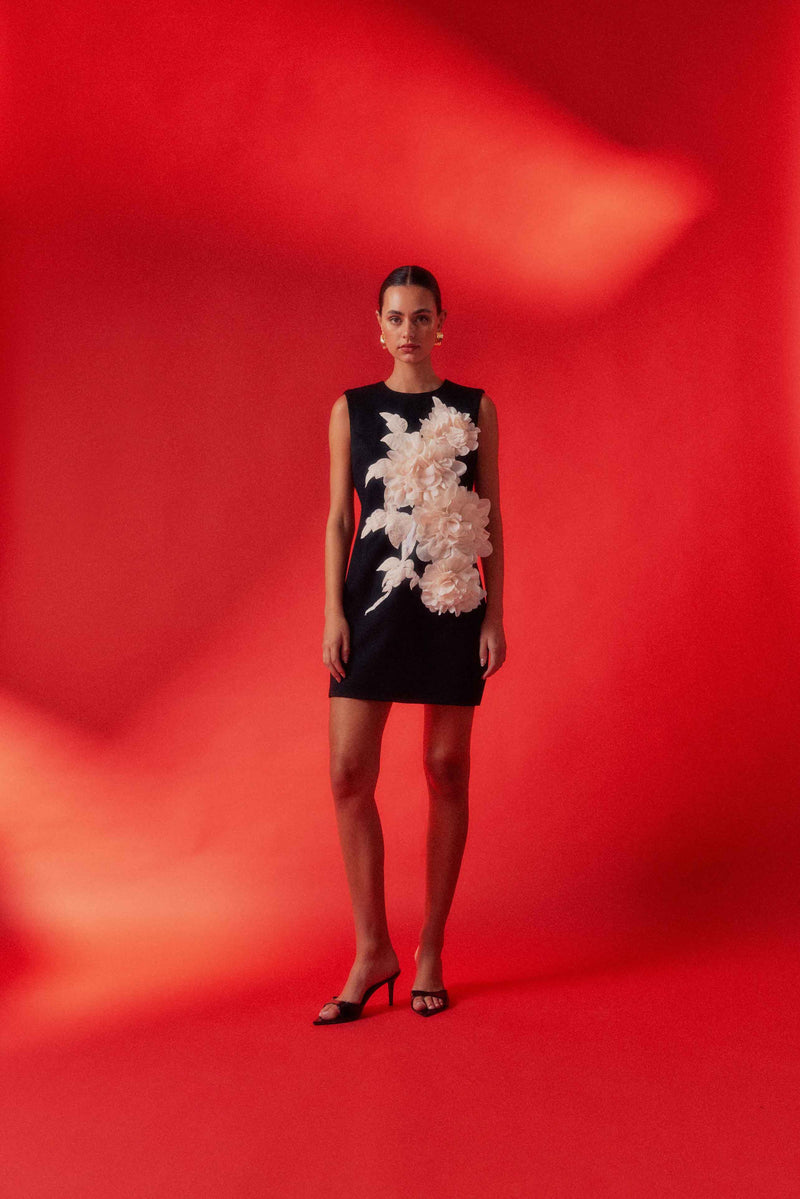 Zahara Shift Mini Dress in Black campaign shot