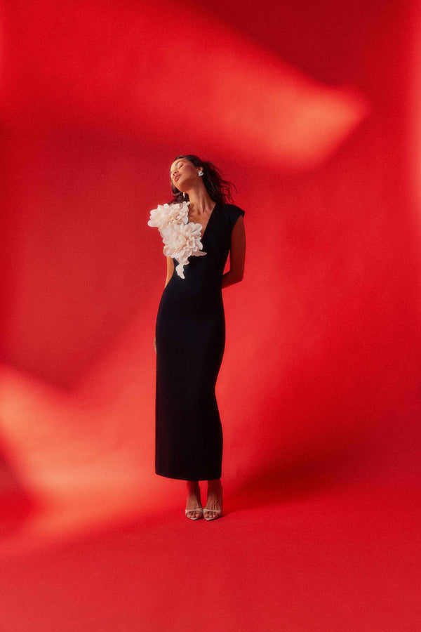 Zahara V-Neck Gown in Black campaign shot