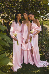 Brunette model wearing the Kai Long Sleeve Maxi Dress in Pale Pink camapign shot 