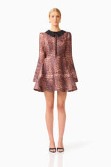 CURAAE Zamira Long Sleeve Mini Dress in Brown Multi with lace collar & long flare sleeves front shot