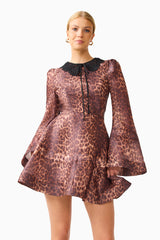 CURAAE Zamira Long Sleeve Mini Dress in Brown Multi with lace collar & long flare sleeves close up shot