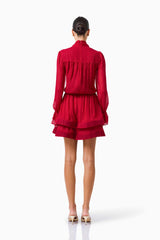 CURAAE Zanetta Long Sleeve Mini Dress in Berry Red with long sleeves and back zipper back shot