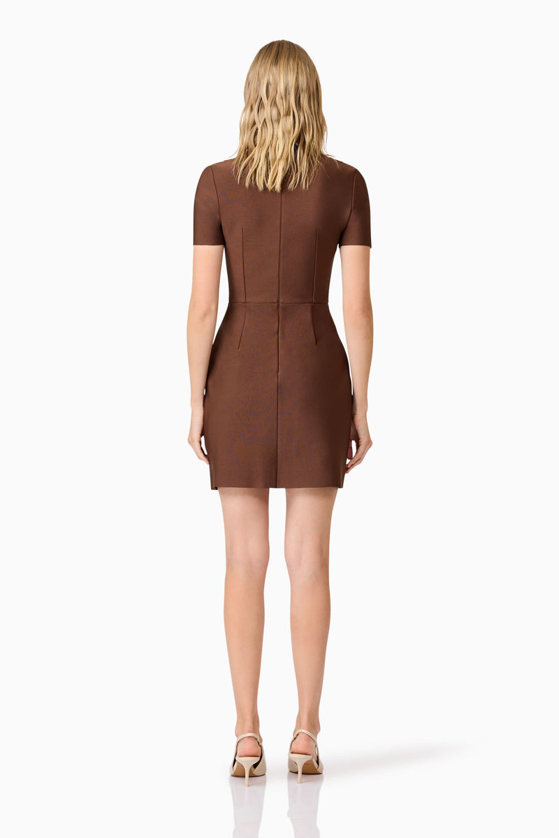A blonde model wearing a brown collared mini dress back shot
