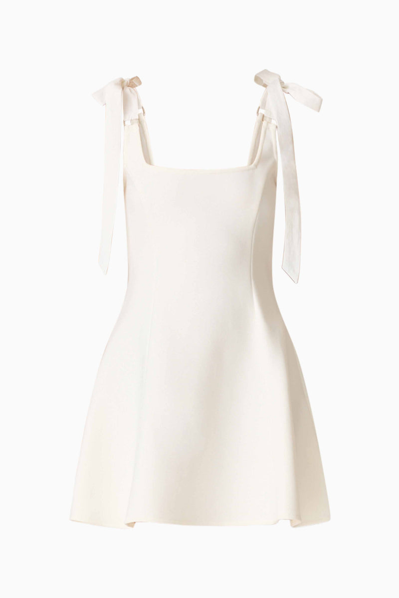 chantel mini dress CURAAE Chantel Mini Dress in White – Elliatt