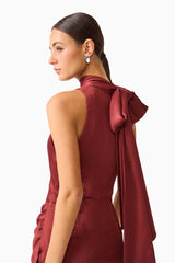 Calista Neck Scarf Mini Dress in Burgundy with high neck collar & scarf back detail shot