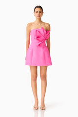 Laurentia Floral Applique Mini Dress in Fuchsia Pink with 3D Floral Detail Front Shot
