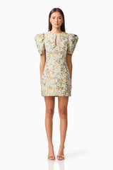 Brunette model wearing Tasmin Puff Sleeve Mini Dress in Blue & Yellow Floral Front Shot