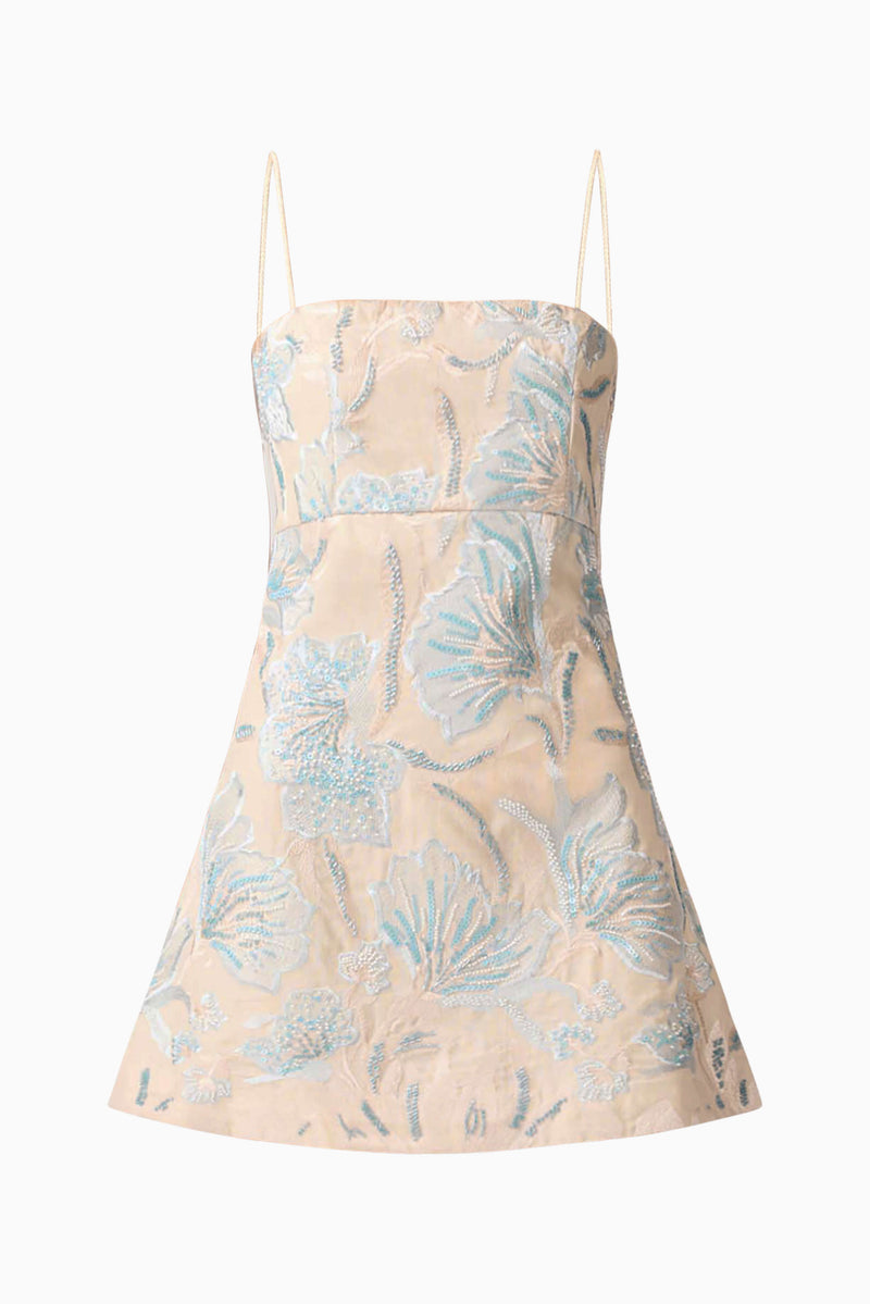 Nia Embroidered Mini Dress in Beige ghost Shot