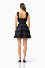 Emberly Lace Mini Dress in Black with open, zip up back, back shot