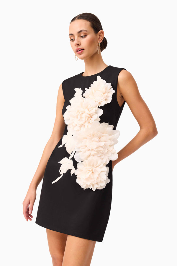 Brunette model wearing the Zahara Shift Mini Dress in Black close up shot