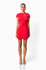 Martina Applique Mini Dress in Red with floral embellishments and details front shot
