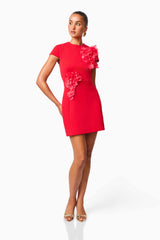 Martina Applique Mini Dress in Red with floral embellishments and details posed shot
