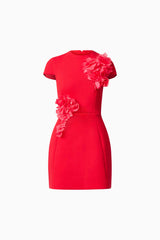 Martina Applique Mini Dress in Red with floral embellishments and details ghost shot