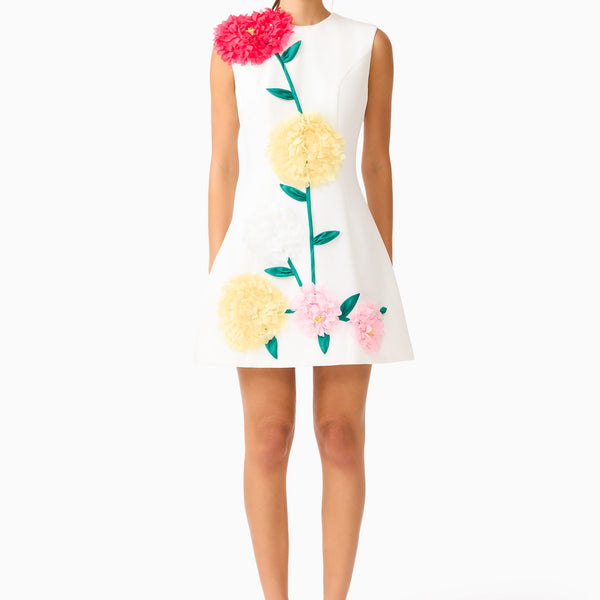 Buttercup Embroidered Mini Dress in Ivory – Elliatt