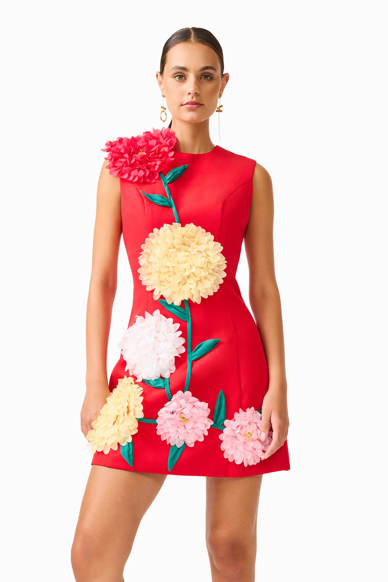 Buttercup Embroidered Mini Dress in Red XXS / Red Buttercup Embroidered Mini Dress in Red XXS / Red