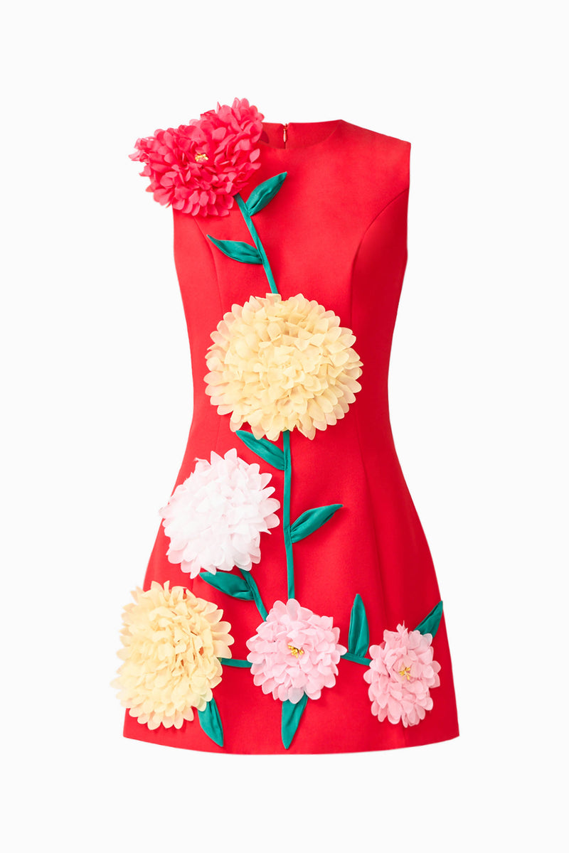 Buttercup Embroidered Mini Dress in Red Elliatt Buttercup Embroidered Mini Dress in Red Elliatt