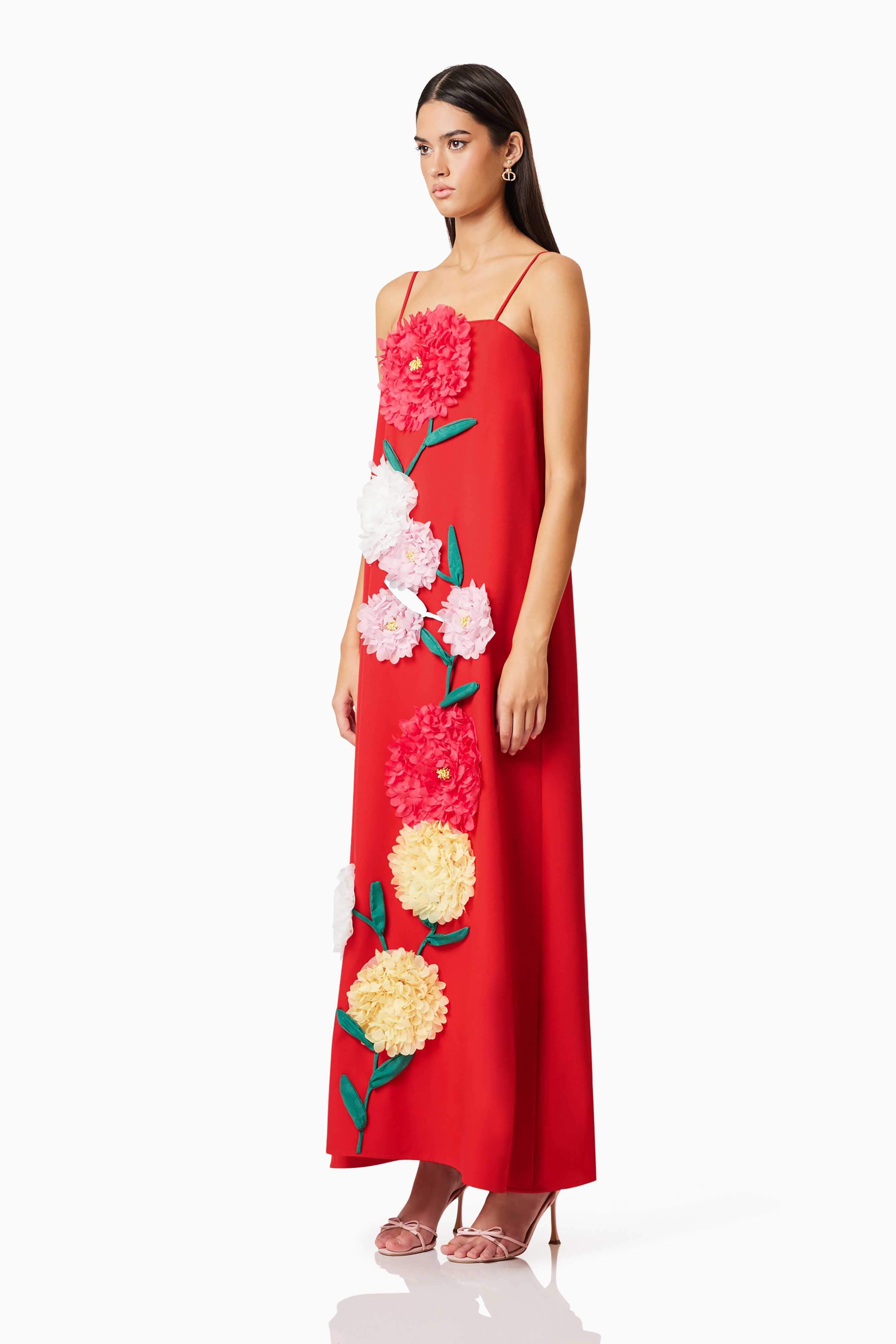Buttercup Maxi Dress In Red