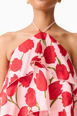 Brunette model wearing Melia Halter Mini Dress in Pink & Red Floral detail shot