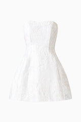 Floralie Strapless Mini Dress in Silver ghost shot