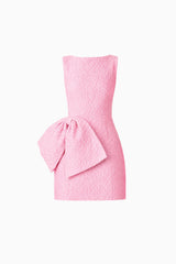 Briallen Jacquard Mini Dress in Pink ghost shot