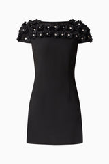 Dali Floral Applique Mini Dress in Black Ghost Shot