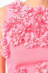 Dali Floral Applique Gown in Pink with floral appliques & sleeveless detailing detail shot