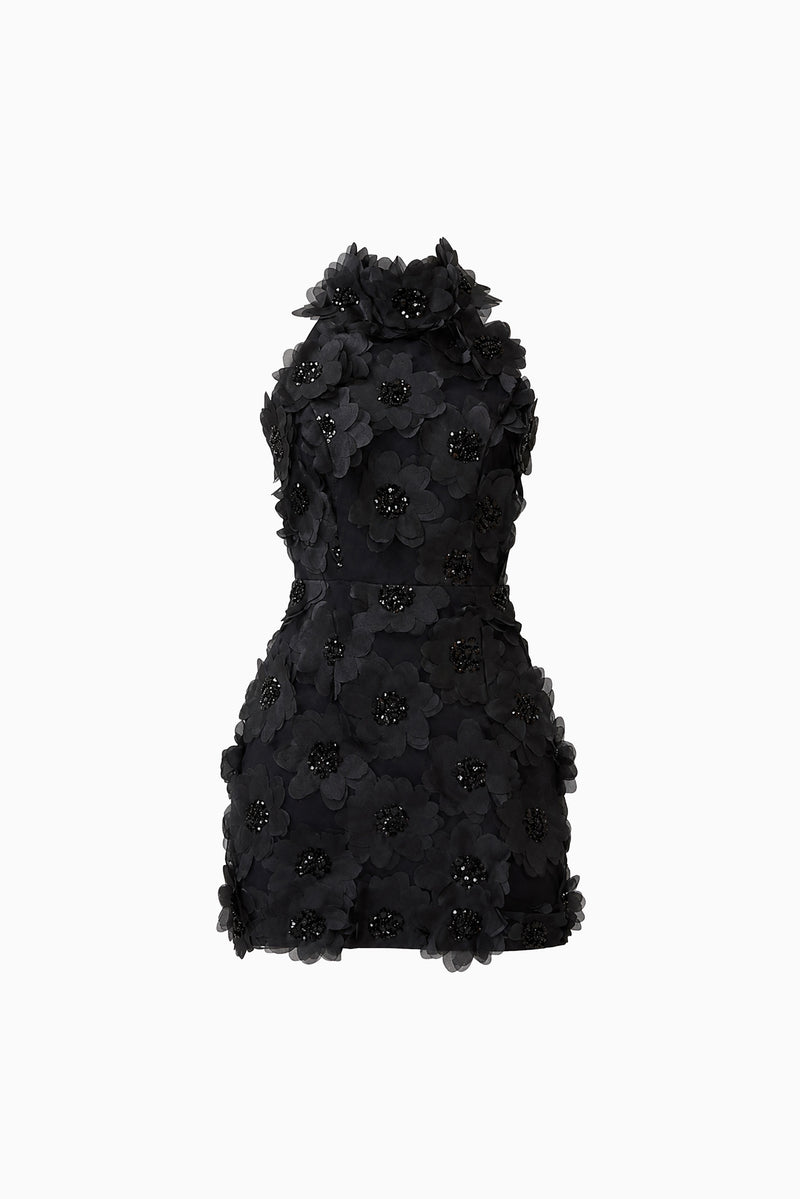 elliatt cherry blossom mini dress Cherry Blossom Mini Dress in Black