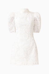 Elowen Floral Applique Mini Dress in White ghost shot