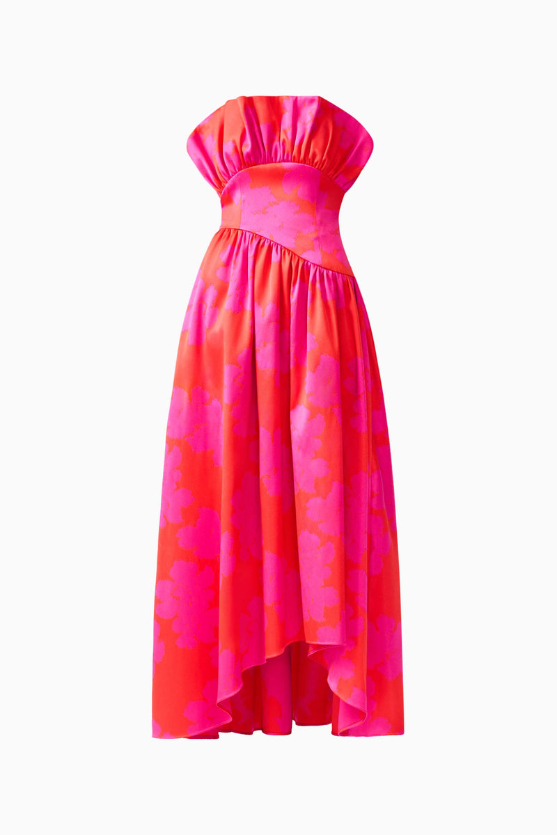 fitted lace wedding dress Laurel Sleeveless Maxi Dress in Pink & Red