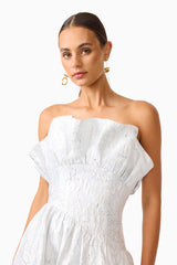 Brunette model wearing the Laurel Sleeveless Maxi Dress in Silver close up shot