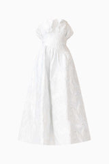 Laurel Sleeveless Maxi Dress in Silver ghost shot