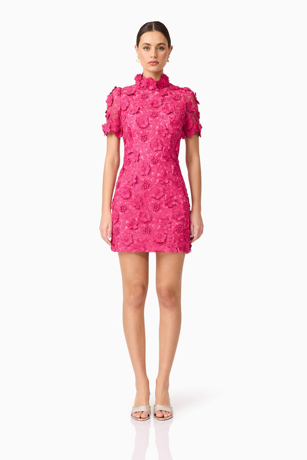 Brunette model wears Claudia Short Sleeve Mini Dress front view