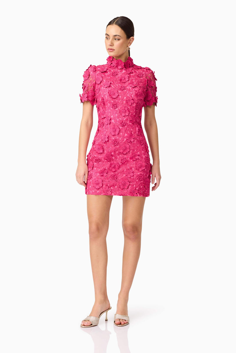 Brunette model wears Claudia Short Sleeve Mini Dress Posing front view
