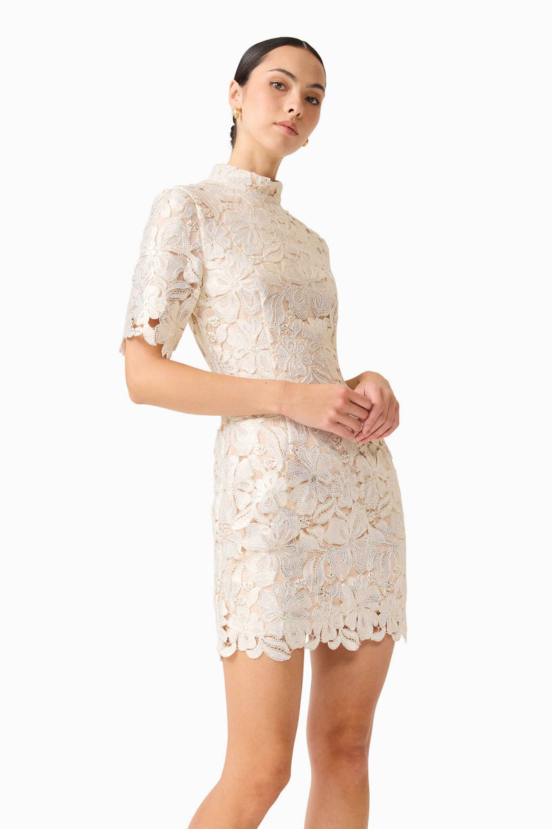 aurora eyelet mini dress Off The Grid Eyelet Mini Dress
