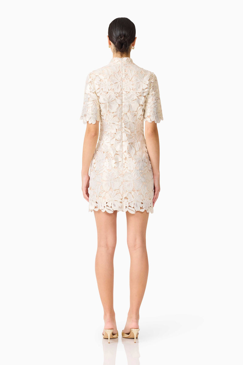 slim fit dress slacks Nicoletta Short Sleeve Mini Dress in Gold