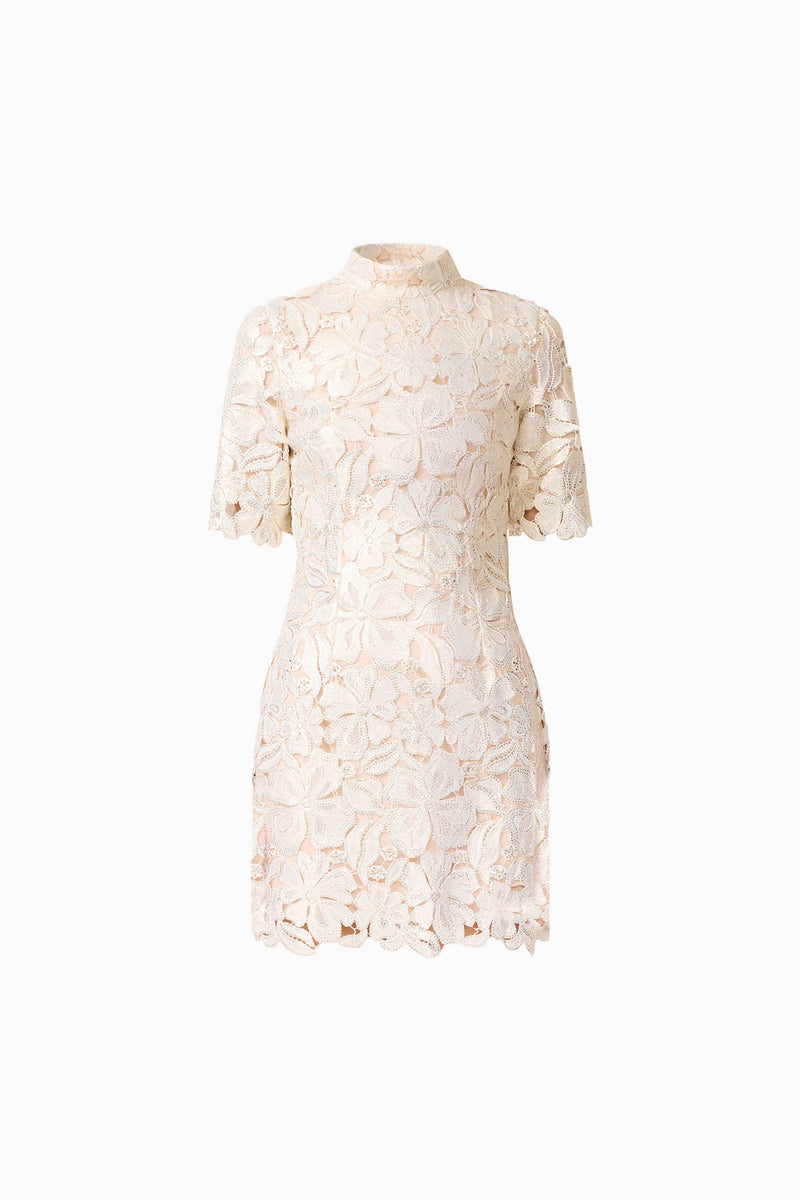 Nicoletta Short Sleeve Mini Dress in Gold | Statement Lace Dress Elliatt Nicoletta Short Sleeve Mini Dress in Gold | Statement Lace Dress Elliatt