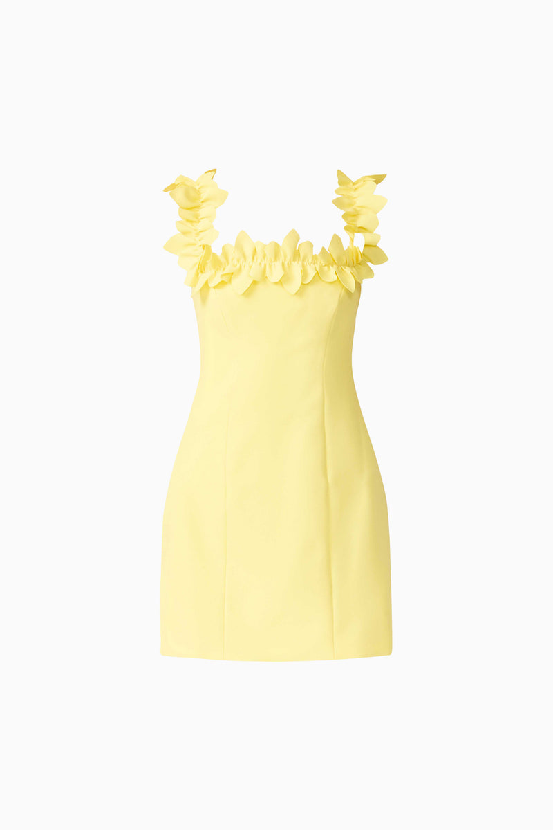 Cara Square Neck Mini Dress in Yellow – Elliatt