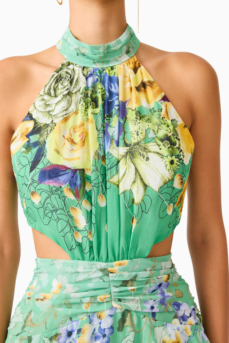 lima gardenia maxi dress Gardenia Halter Maxi Gown In Green – Elliatt