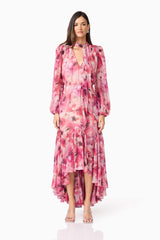 Brunette model wearing Evalina Long Sleeve Maxi Dress in Pink front shot