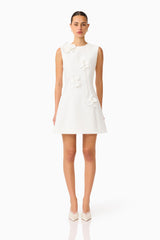 Brunette model wearing the Reina Applique Mini Dress Dress White front shot