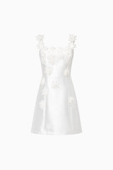 Elder Floral Decal Applique Mini Dress In White ghost shot