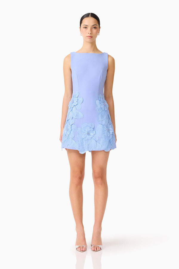 Brunette model wearing the Janelle Mini Dress in Blue front shot