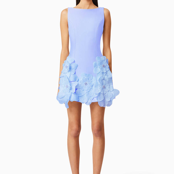 Janelle Mini Dress in Blue