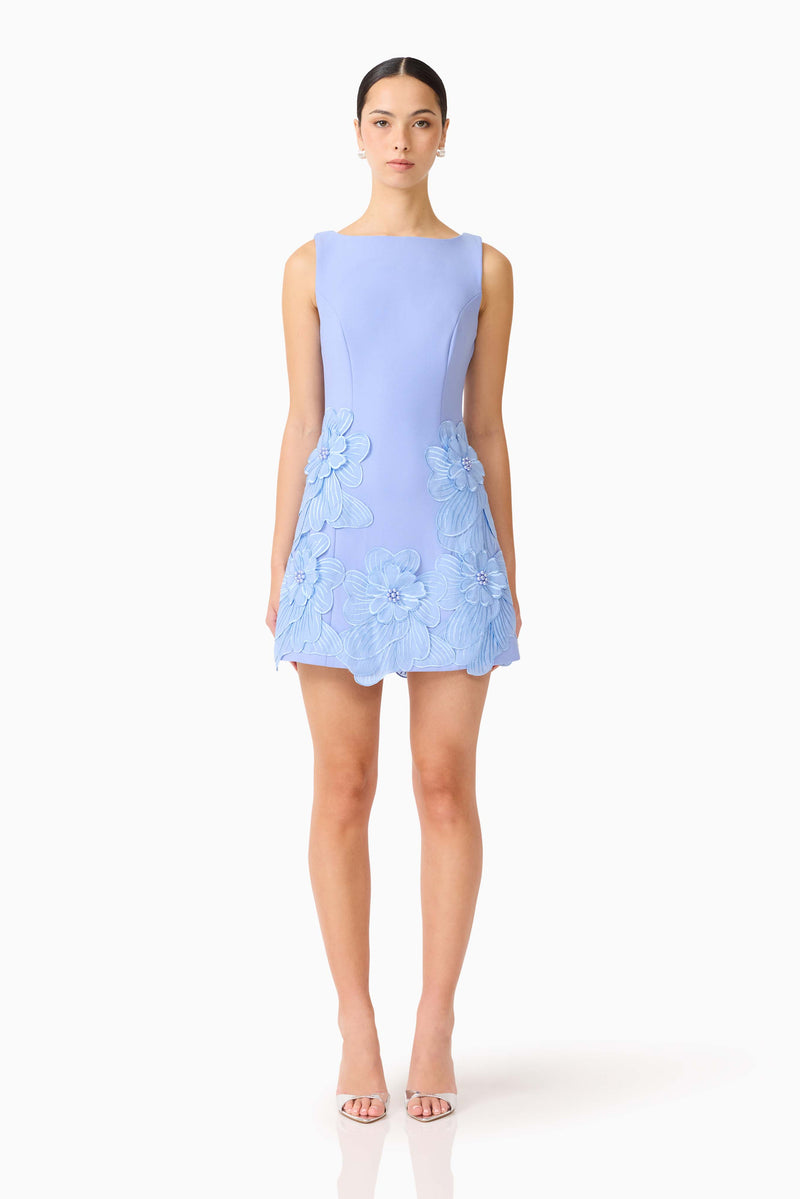 Brunette model wearing the Janelle Mini Dress in Blue front shot
