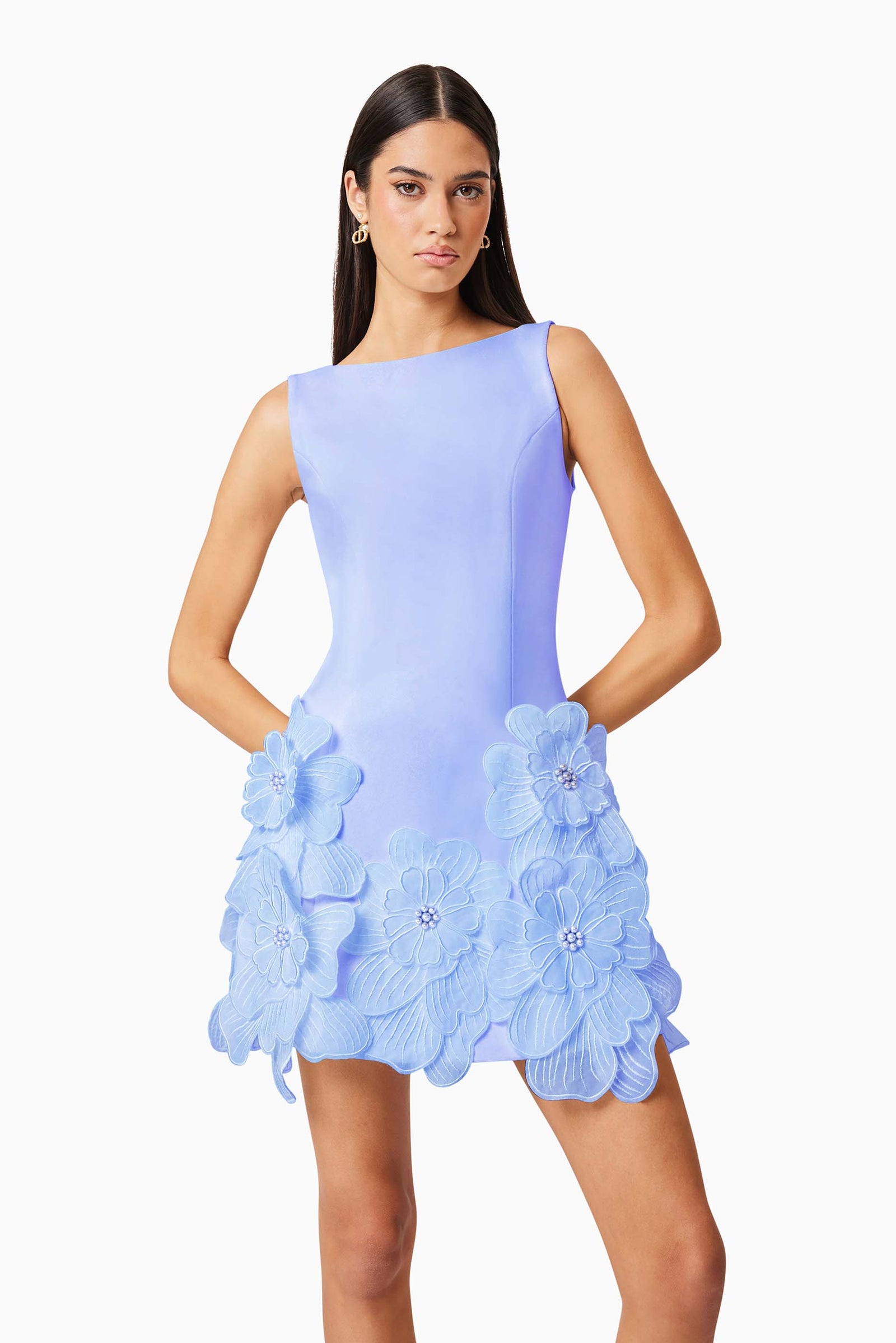 Janelle Mini Dress in Blue | Floral Detailing  Elliatt