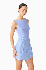 Brunette model wearing the Janelle Mini Dress in Blue close up shot