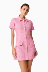 Brunette model wearing Alia Short Sleeve Mini Dress in Pink close up shot